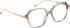 Entourage Of 7 SAFFRON glasses in Clear Grey/Gold