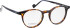 Entourage Of 7 THEODORE glasses in Tortoise