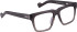 Entourage Of 7 TITUS glasses in Grey
