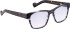 Entourage Of 7 TRAVIS glasses in Grey/Brown