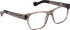 Entourage Of 7 TRAVIS glasses in Transparent Green