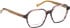 Entourage Of 7 WREN glasses in Purple/Brown
