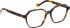 Entourage Of 7 WREN glasses in Tortoise