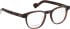 Entourage Of 7 BAXTER-S glasses in Brown/Brown