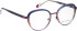 Bellinger ACEELLIPSE-1 glasses in Purple/Brown