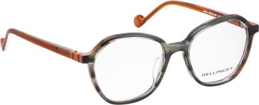 Bellinger AXIS-2 glasses in Green/Orange