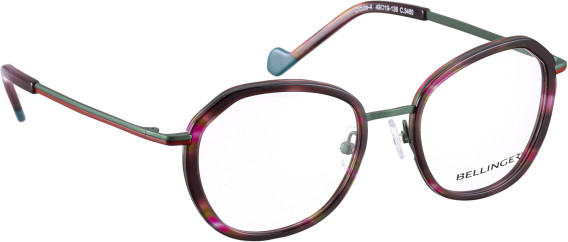Bellinger CICULA-4 glasses in Brown/Green