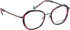 Bellinger CICULA-4 glasses in Brown/Green
