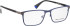 Bellinger CORNER-3 glasses in Blue/Grey