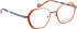 Bellinger ELLIPSE-3 glasses in Orange/Blue