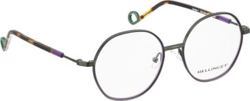 Bellinger INCOLOR-1 glasses in Green/Purple