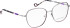 Bellinger INCOLOR-4 glasses in Grey/Purple