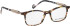 Bellinger JUST-SERENE glasses in Brown/Clear Brown