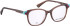Bellinger LESS-ACE-2586 glasses in Brown/Brown