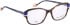 Bellinger LESS-ACE-2587 glasses in Brown/Blue