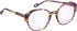 Bellinger LESS-ACE-2588 glasses in Purple/Brown