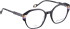 Bellinger LESS-ACE-2588 glasses in Black/Black