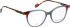 Bellinger LESS-ACE-2611 glasses in Grey/Brown