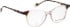 Bellinger LESS-ACE-2611 glasses in Crystal/Brown