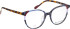 Bellinger LESS-ACE-2613 glasses in Blue/Brown