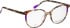 Bellinger LESS-ACE-2613 glasses in Brown/Brown
