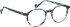 Bellinger SKYRAIDER glasses in Grey/Blue