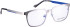 Bellinger SONIC-4 glasses in Grey/Blue