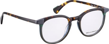 Bellinger WILDCAT glasses in Grey/Brown