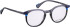 Bellinger WILDCAT glasses in Grey/Blue