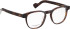 Entourage Of 7 BAXTER-S glasses in Brown/Brown