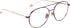 Entourage Of 7 JINTO glasses in Brown/Copper