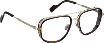 Entourage Of 7 REN glasses in Tortoise/Gold