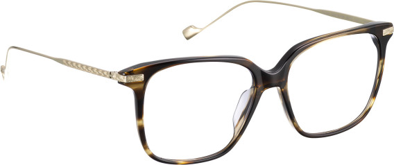 Entourage Of 7 SIENNA glasses in Brown/Gold