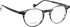 Entourage Of 7 THEODORE glasses in Grey/Clear Grey