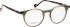 Entourage Of 7 THEODORE glasses in Green/Brown