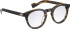 Entourage Of 7 TUCKER glasses in Brown
