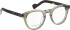 Entourage Of 7 TUCKER glasses in Clear Grey/Brown