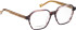 Entourage Of 7 WREN glasses in Purple/Brown