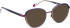 Bellinger ACEELLIPSE-1 glasses in Purple/Brown