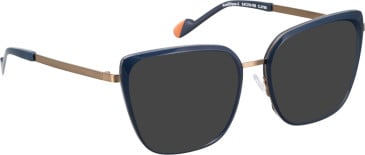Bellinger ACEELLIPSE-3 glasses in Dark Blue/Copper