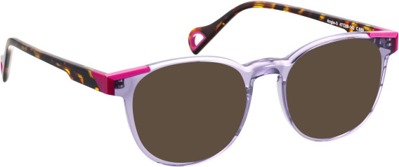 Bellinger ANGLE-3 glasses in Purple/Brown