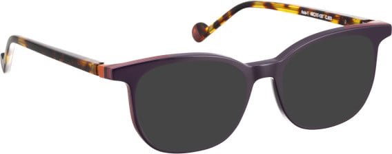 Bellinger AXIS-1 glasses in Purple