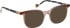 Bellinger AXIS-1 glasses in Purple/Brown