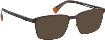 Bellinger BOLDLINE-A31 glasses in Brown/Orange