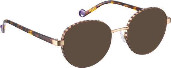 Bellinger BOLDLINE-SP12 glasses in Brown/Copper
