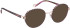 Bellinger BOLDLINE-SP12 glasses in Purple/Rose Gold