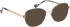 Bellinger BOLDLINE-SP13 glasses in Green/Copper