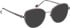 Bellinger BOLD-SP1 glasses in Grey/Purple