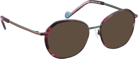 Bellinger CICULA-4 glasses in Brown/Green