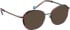 Bellinger CICULA-4 glasses in Brown/Green